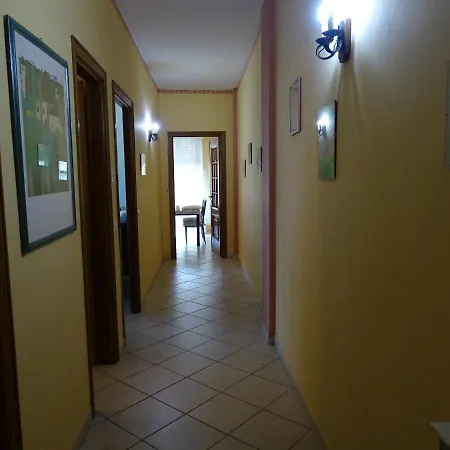 Apartment Duck